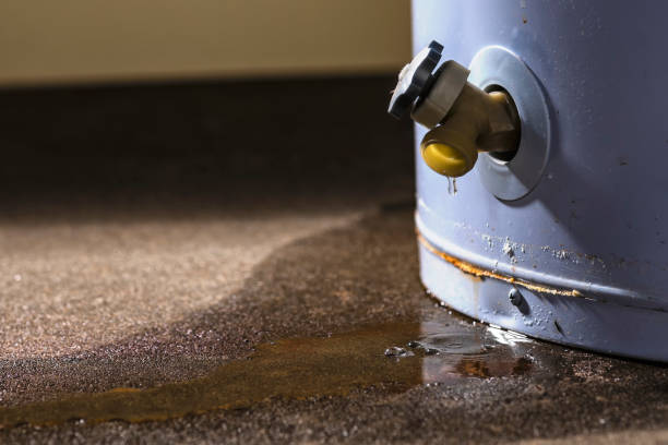 Best Mold removal after water damage  in Brunswick, NC