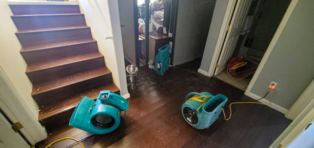Best Commercial water damage restoration  in Brunswick, NC