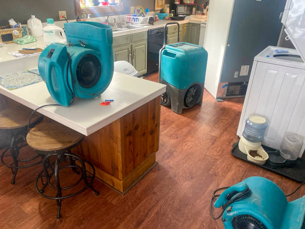 Best Local water damage restoration  in Brunswick, NC