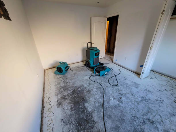 Trusted Brunswick, NC Water damage restoration Experts