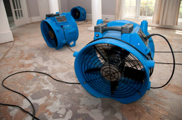 Best Water damage restoration process  in Brunswick, NC