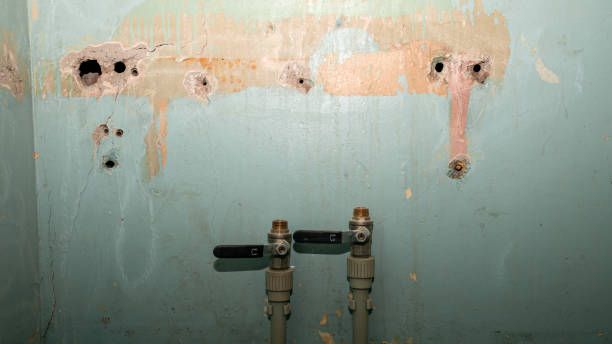  Brunswick, NC Water damage restoration Pros