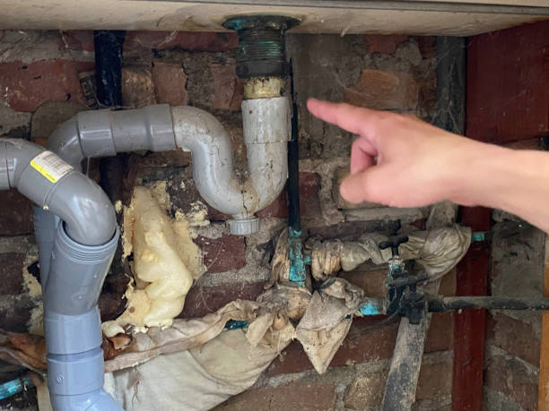 Best Professional water damage repair  in Brunswick, NC
