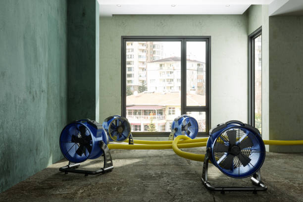 Best Water damage repair service  in Brunswick, NC
