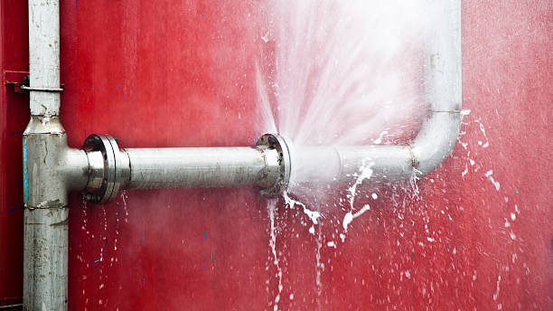 Best Flood damage cleanup  in Brunswick, NC